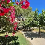 Grand Dans Résidence Avec Piscine Hyères