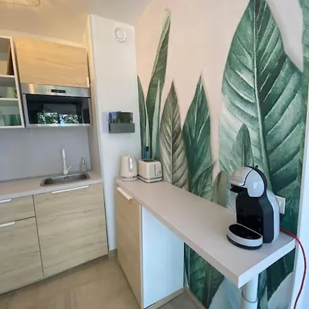 Apartment Grand Dans Avec Piscine