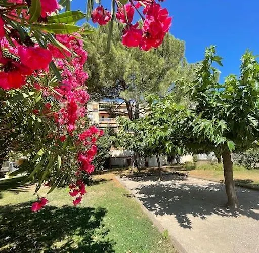 Grand Dans Avec Piscine Hyères