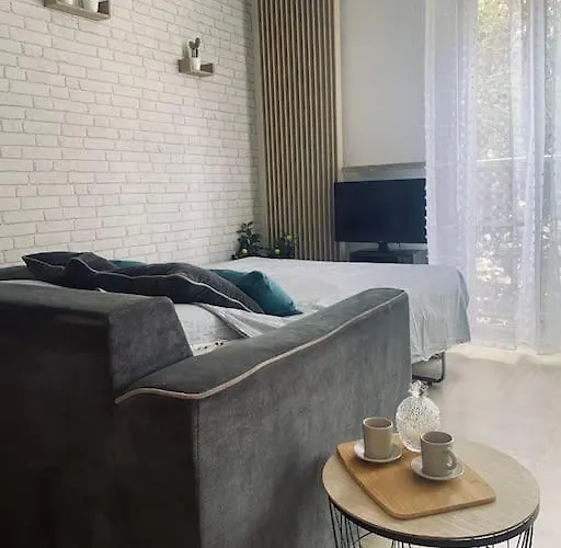 Grand Dans Avec Piscine Apartman Hyères