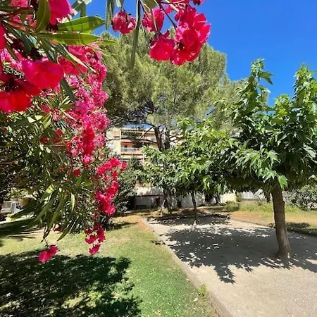 Grand Dans Avec Piscine Ιέρ