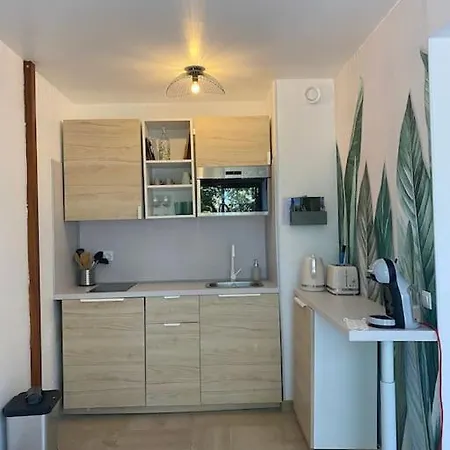 Апартаменты Grand Dans Avec Piscine Йер