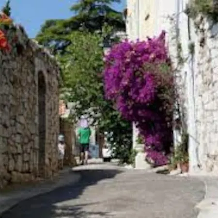 Apartment Grand Dans Avec Piscine