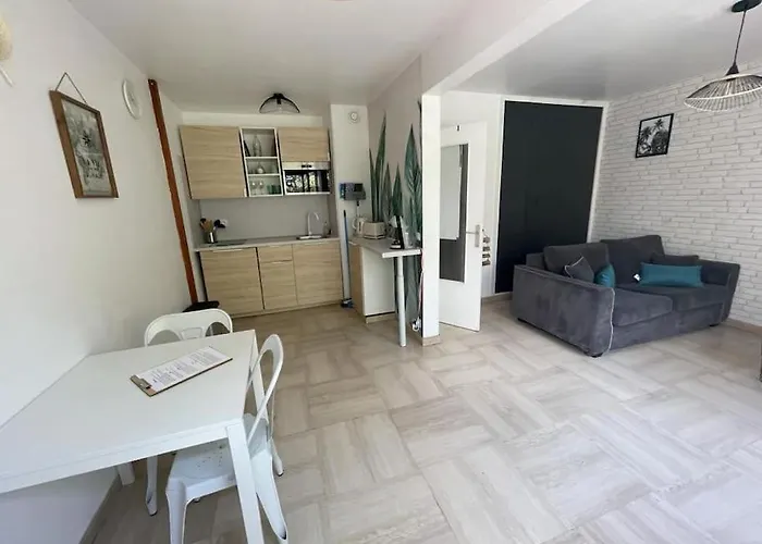 Grand Dans Avec Piscine Lejlighed Hyères