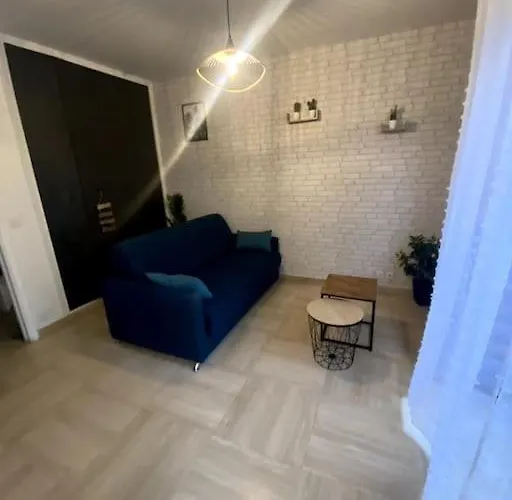 Grand Dans Avec Piscine Lejlighed Hyères