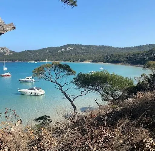 Apartment Grand Dans Avec Piscine *