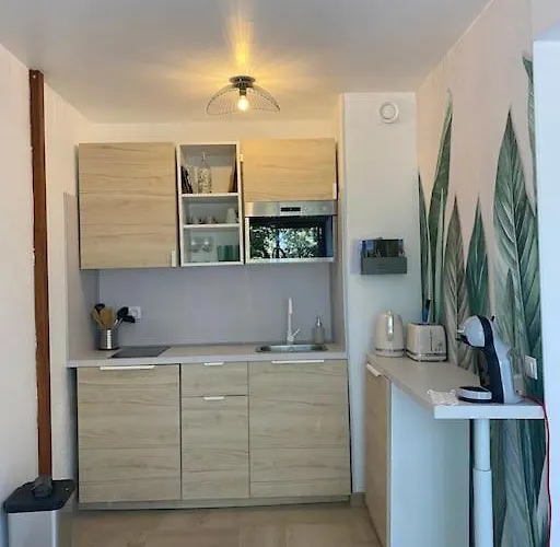 Apartment Grand Dans Avec Piscine Hyères